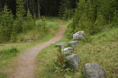 Hiking Trail