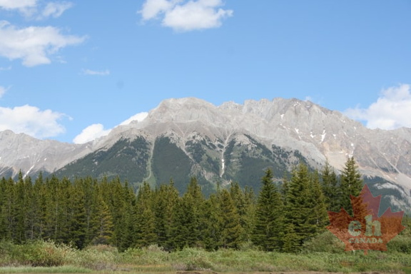 Beautiful Mountain Views