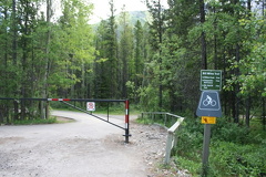 Wedge Pond Tralhead
