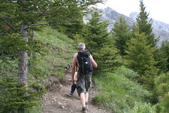 Trail Hiking in the Forest