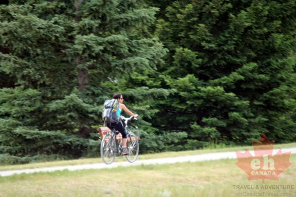 Bow River Trail