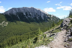 Ridge Trail