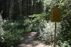 Cory Pass Trailhead Sign
