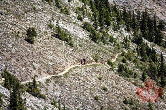 Hiking Rock Slides in Banff National Park