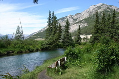Sightseeing on 40 Mile Creek