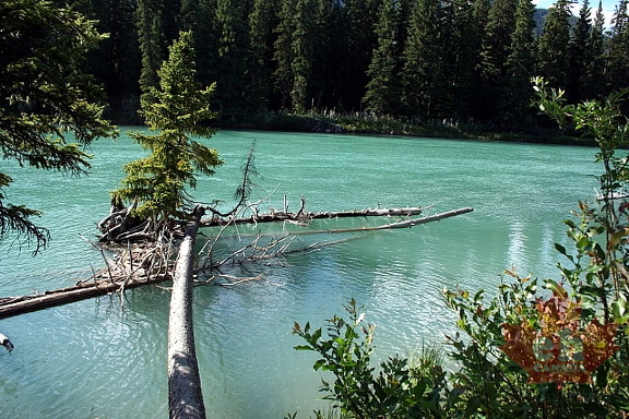 Kananaskis River
