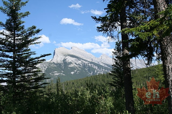 Mountain Views