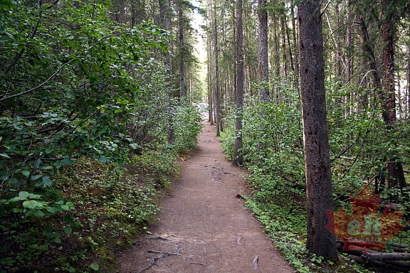 Stewart Canyon Trail