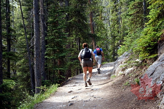 Uphill All the Way