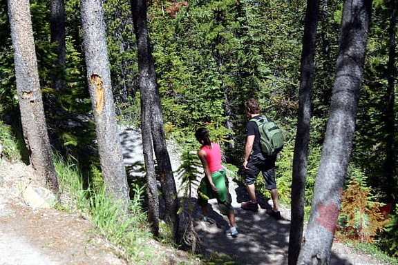 Sulphur Mountain Trail