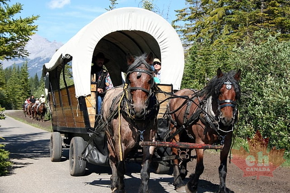 Chuck Wagon Tours