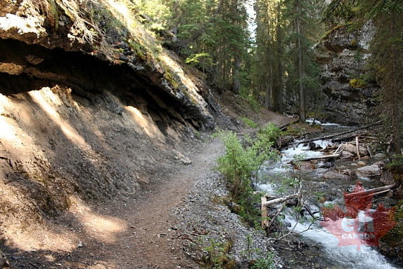 Canyon Trail