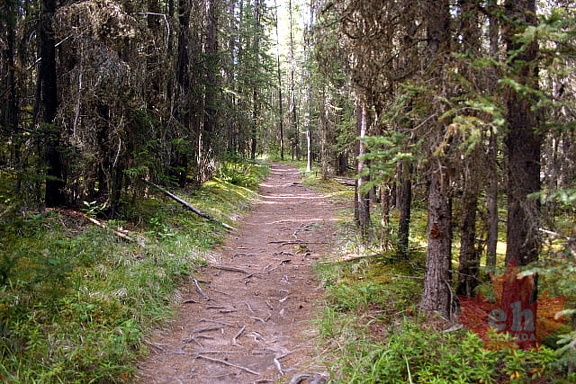 Sundance Canyon Ridge Walking