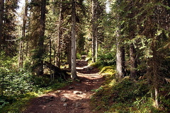 Hiking Trail