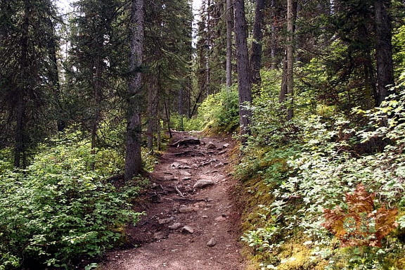 Hiking