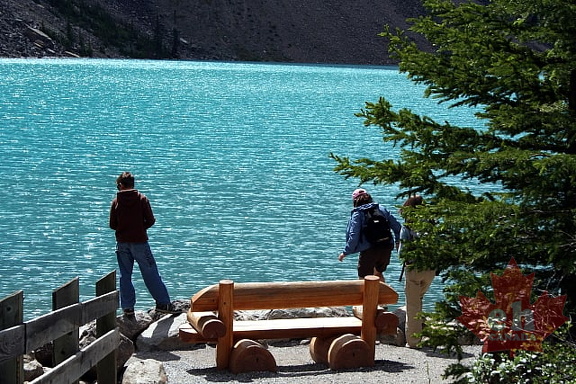 Sightseeing Bench