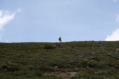 Headwall Hiker