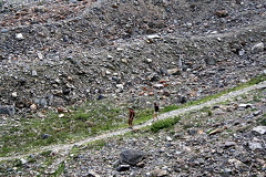 Rock Slides on the Six Glaciers Trail