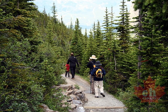 Trail Hikers