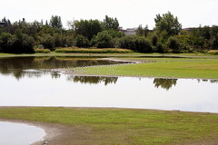 Reservoir Views