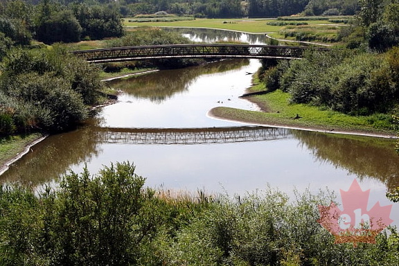 Bridge