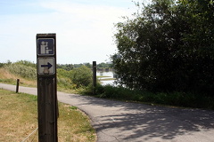 Go This Way