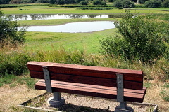 Sightseeing Bench