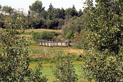 Viewing Platform