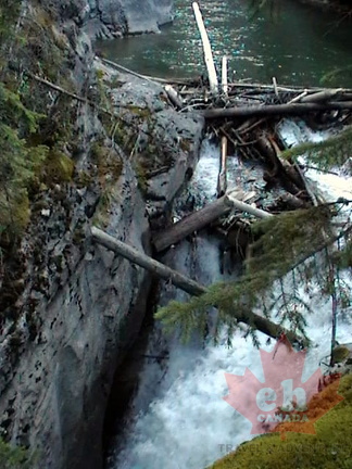 Log Jam