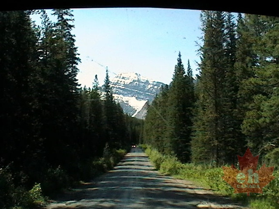 Mt. Edith Cavell Access Road