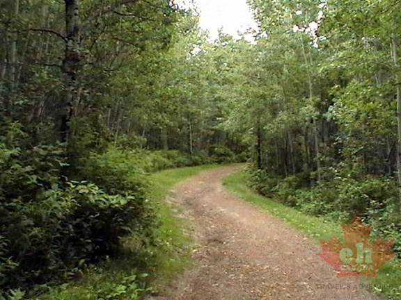 Lost Lake Trail