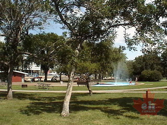 Park Views