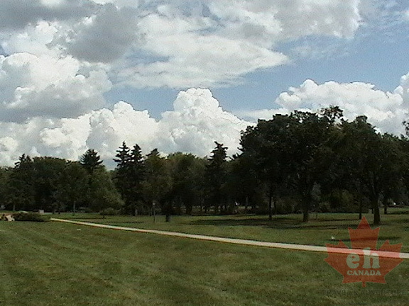 Recreation in the Park
