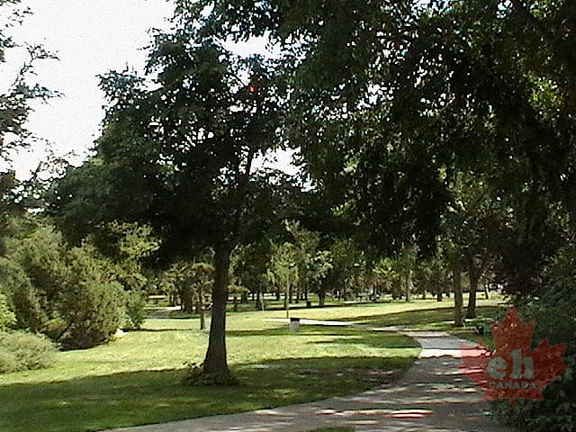 Recreation Trail