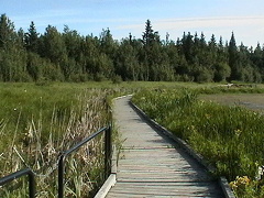 Boardwalk Trail