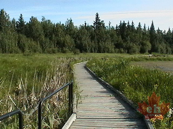 Boardwalk Trail