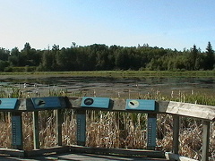 Lookouts