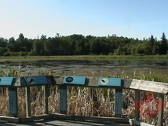 Lookouts