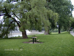 Picnicking in Edmonton