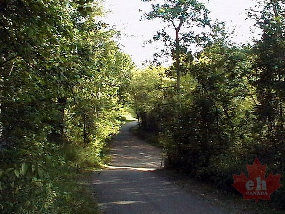 Trail Hiking