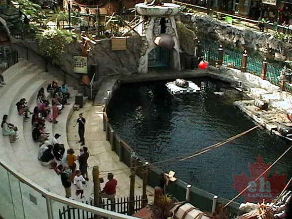 Marine Show