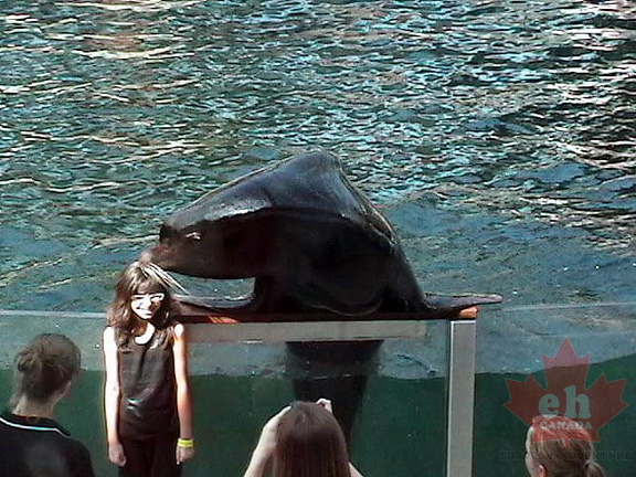 Loving Seal of Approval