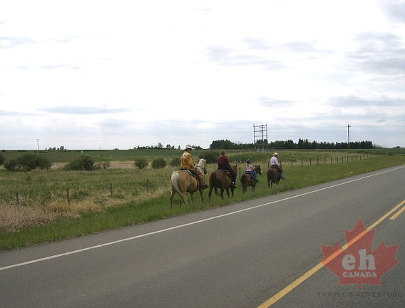 Horseback Riding in Hay Lakes