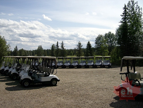 Golfing