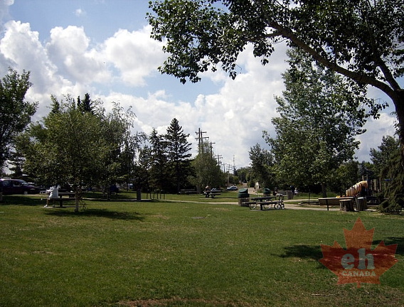 Picnicking