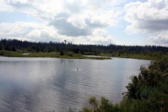 Pond Views