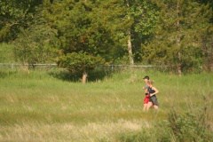 Jogging is for the Birds