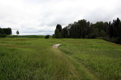 Trail