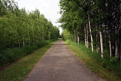 Upper Level Trail