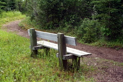Sitting Bench
